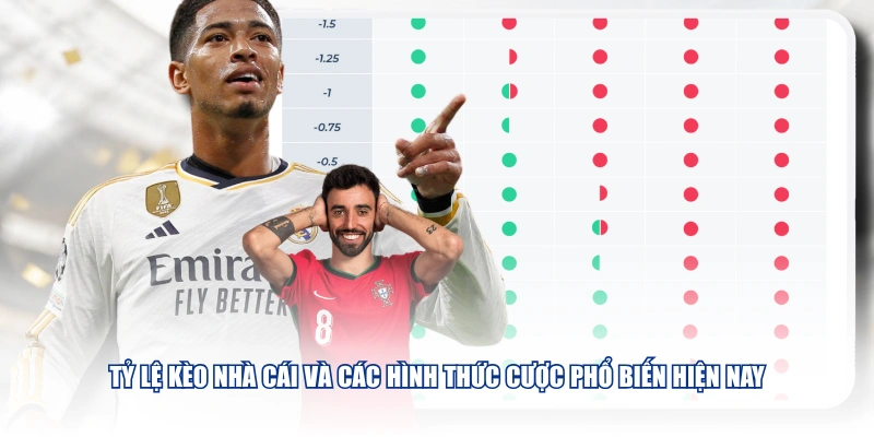 Tỷ lệ kèo nhà cái và các hình thức cược phổ biến hiện nay