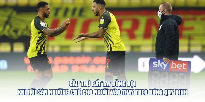 Luật Thay Người Đã Thay Đổi Ra Sao Qua Từng Giai Đoạn Cầu thủ bắt tay đồng đội khi rời sân nhường chỗ cho người vào thay theo đúng quy định