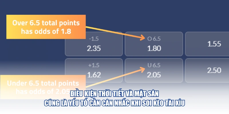Điều kiện thời tiết và mặt sân cũng là yếu tố cần cân nhắc khi soi kèo tài xỉu